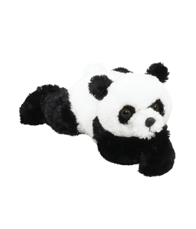 Baby Gansu
